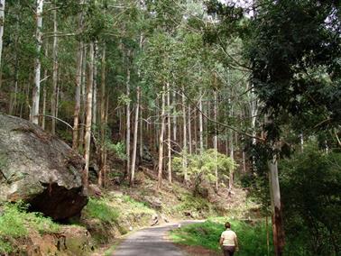 Bandarawela,_World`s_End,_DSC07052B_H600